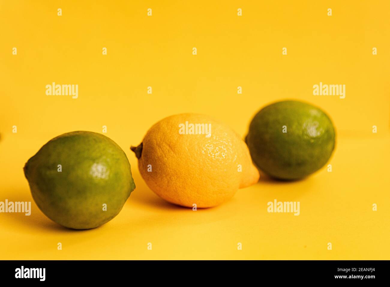 Close-up of two green round limes and one yellow lemon, on a yellow ...