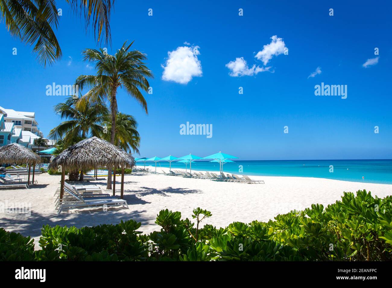 Grand Cayman Beach Deck Chairs Blue Umbrellas On Water's Edge, Cayman
