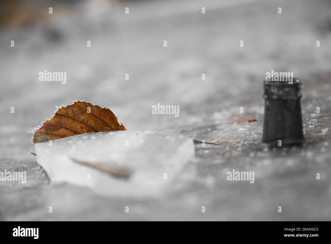 Leaf frozen in ice - highlight Stock Photo