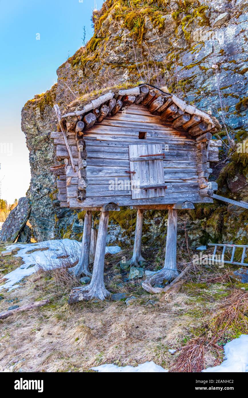 Examples of rural architecture in the Trondelag folk museum in ...
