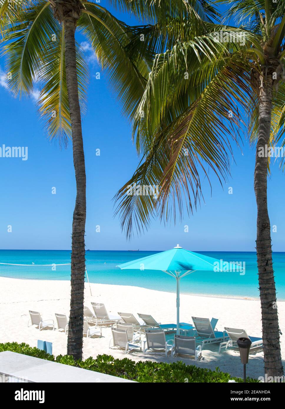 Grand Cayman Beach Deck Chairs Blue Umbrellas On Water's Edge, Cayman