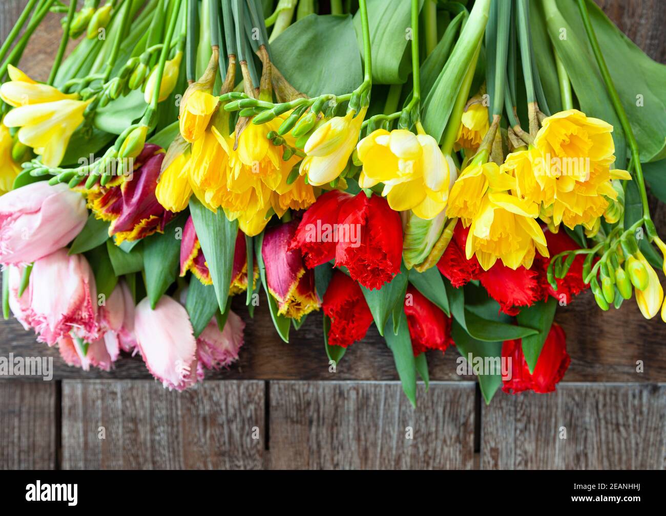 Colorful spring flowers Stock Photo