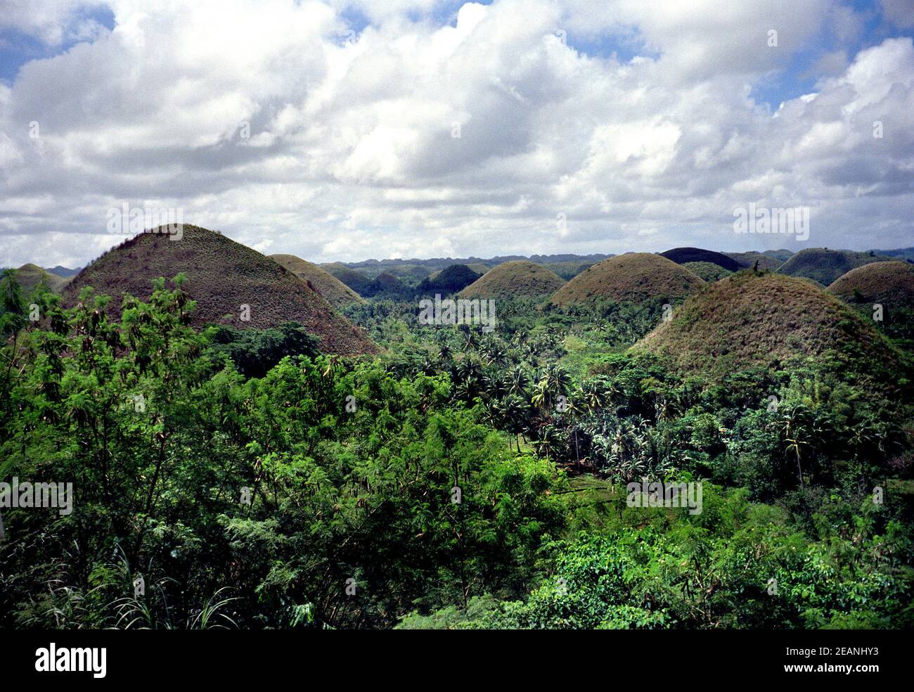 chocolate Hills in Carmen, Philippines Stock Photo Alamy