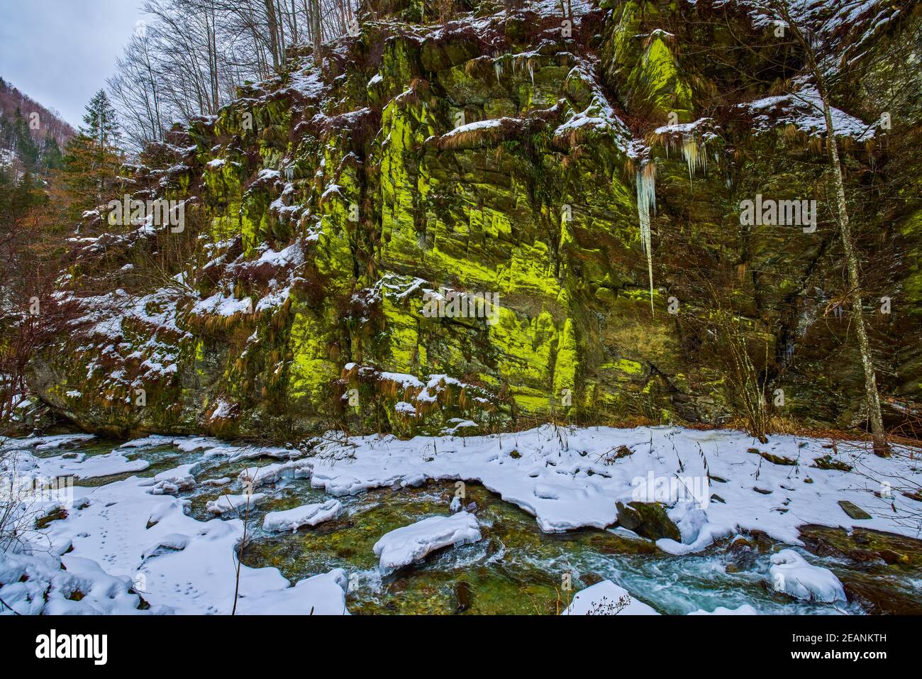 landscape with a mountain river in winter Stock Photo - Alamy