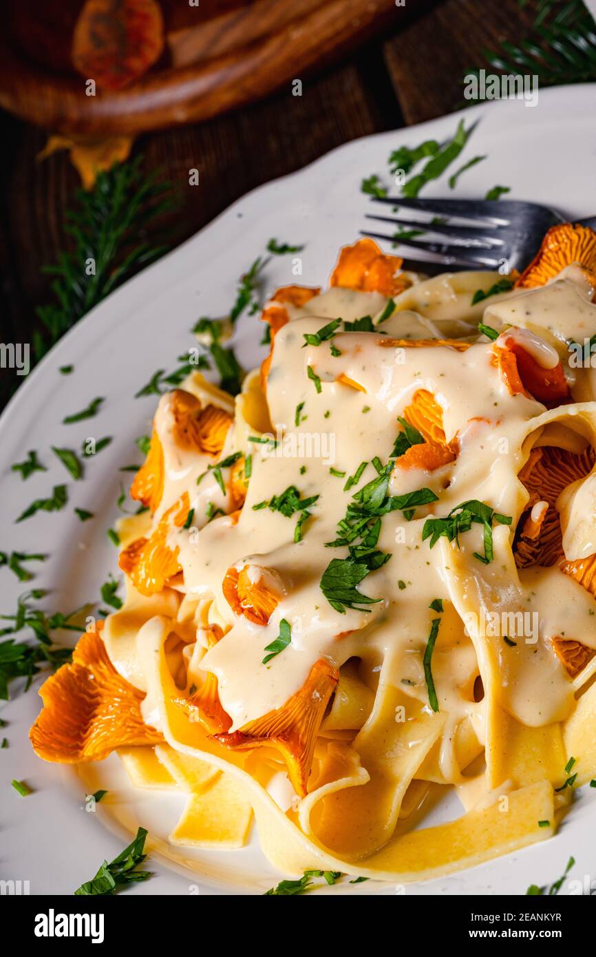 Tagliatelle with fresh chanterelles in a mushroom sauce Stock Photo Alamy