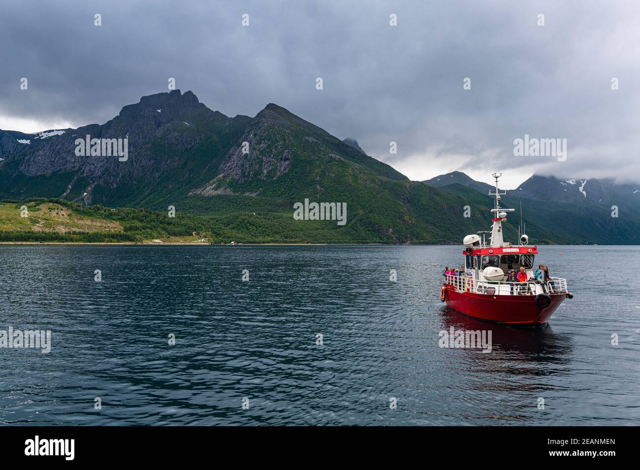 Little ferry bringing tourists to Svartisen glacier, Kystriksveien Coastal Road, Norway, Scandinavia, Europe Stock Photo