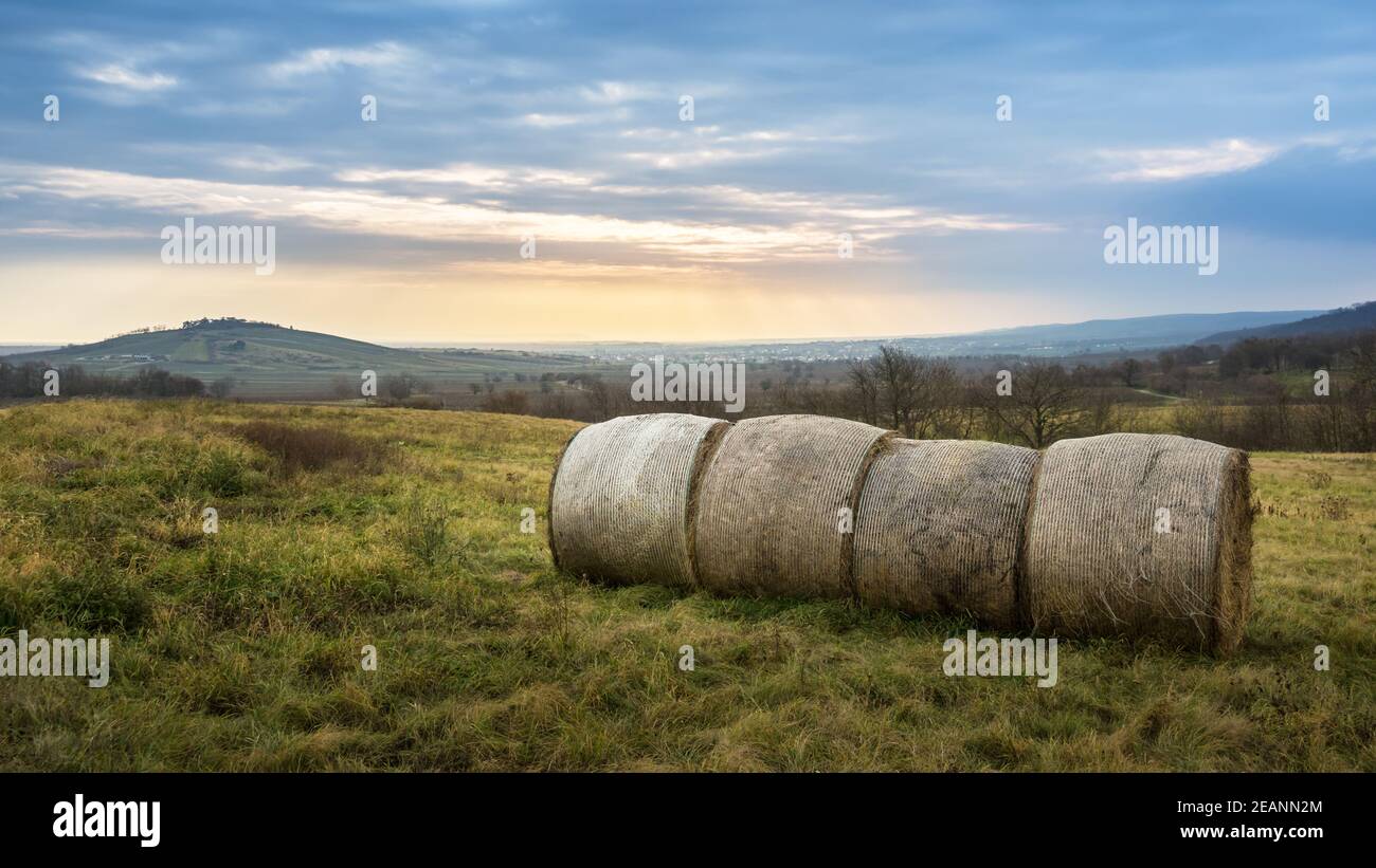 Haybales in beautiful autumnal landscape in Burgenland Stock Photo