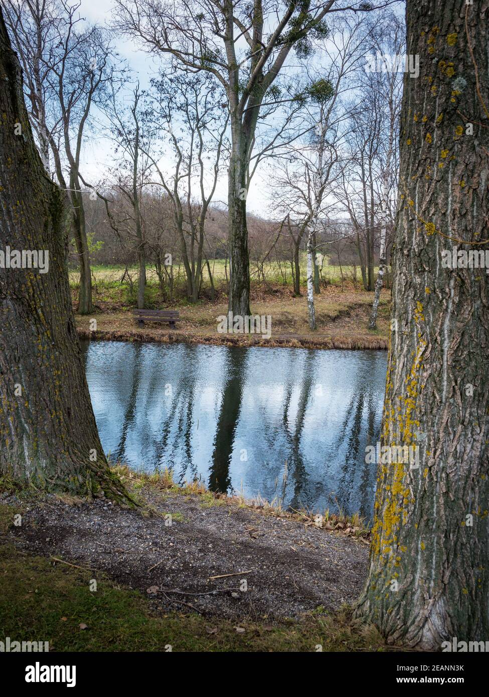 Small pond called Ochsenbrunnen at Jois in Burgenland Stock Photo