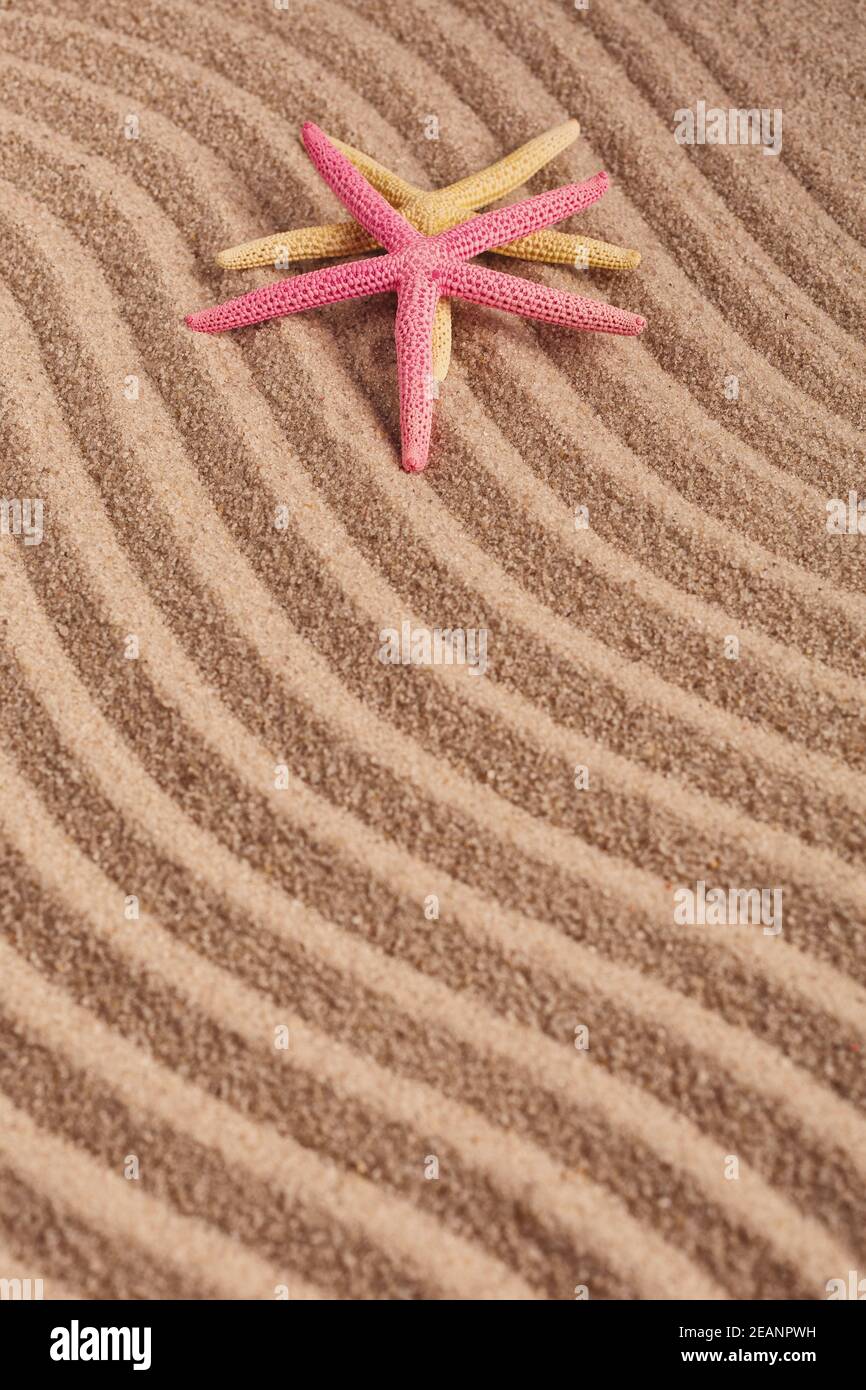Two colored starfish on textured wavy sand. Top view. Stock Photo