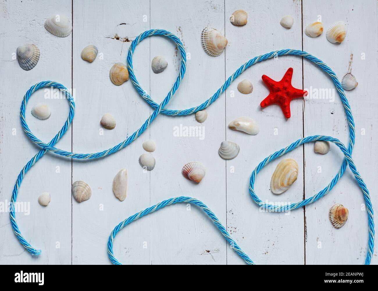 Red starfish, seashells and blue sea rope on turquoise wooden background. Stock Photo