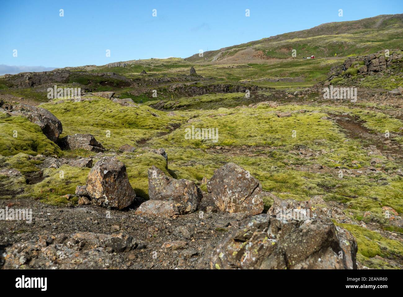 Majestic volcanic landscape covered with moss in Iceland highlands Stock Photo