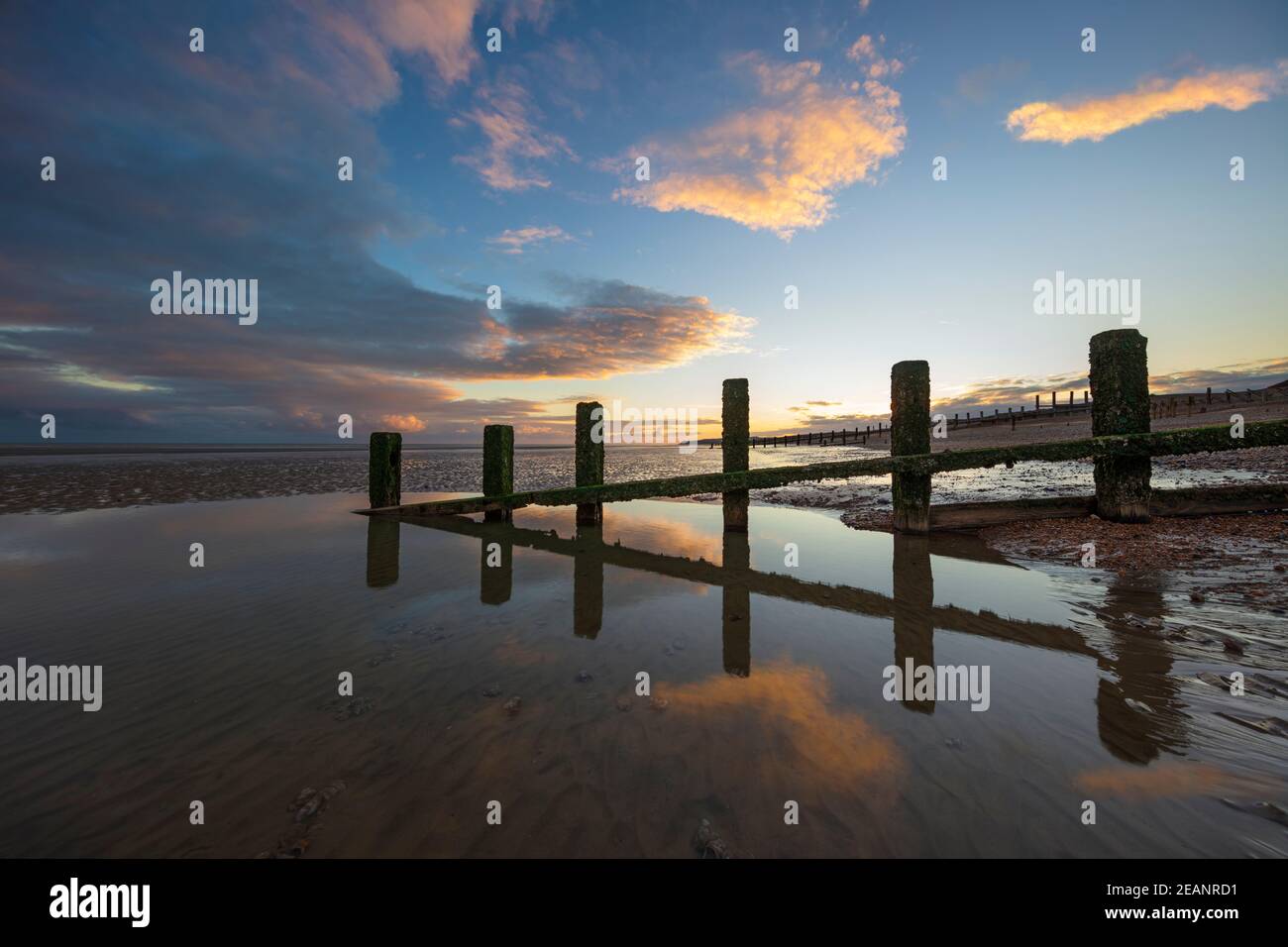 Rotting upright wooden posts of old sea defences on Winchelsea beach, Winchelsea, East Sussex, England, United Kingdom, Europe Stock Photo