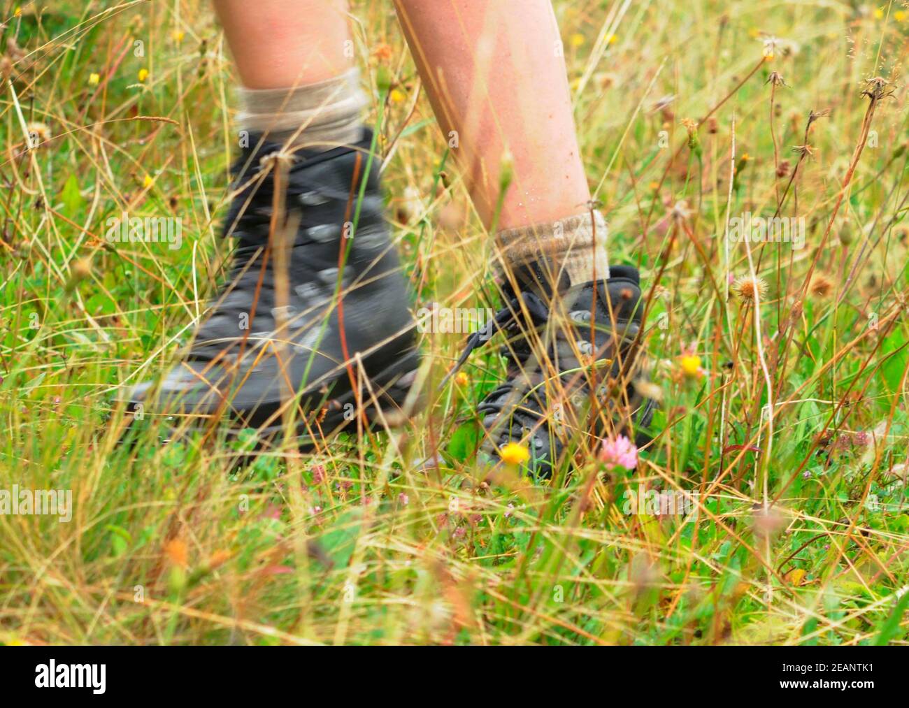Hiking shoes fashion hires stock photography and images Alamy
