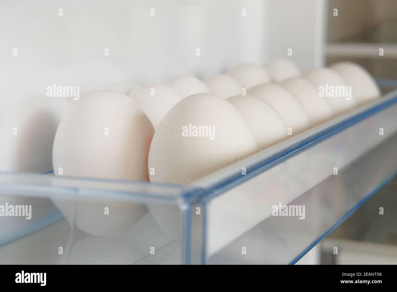 White raw chicken eggs from fridge. Eggs on shelf of refrigerator