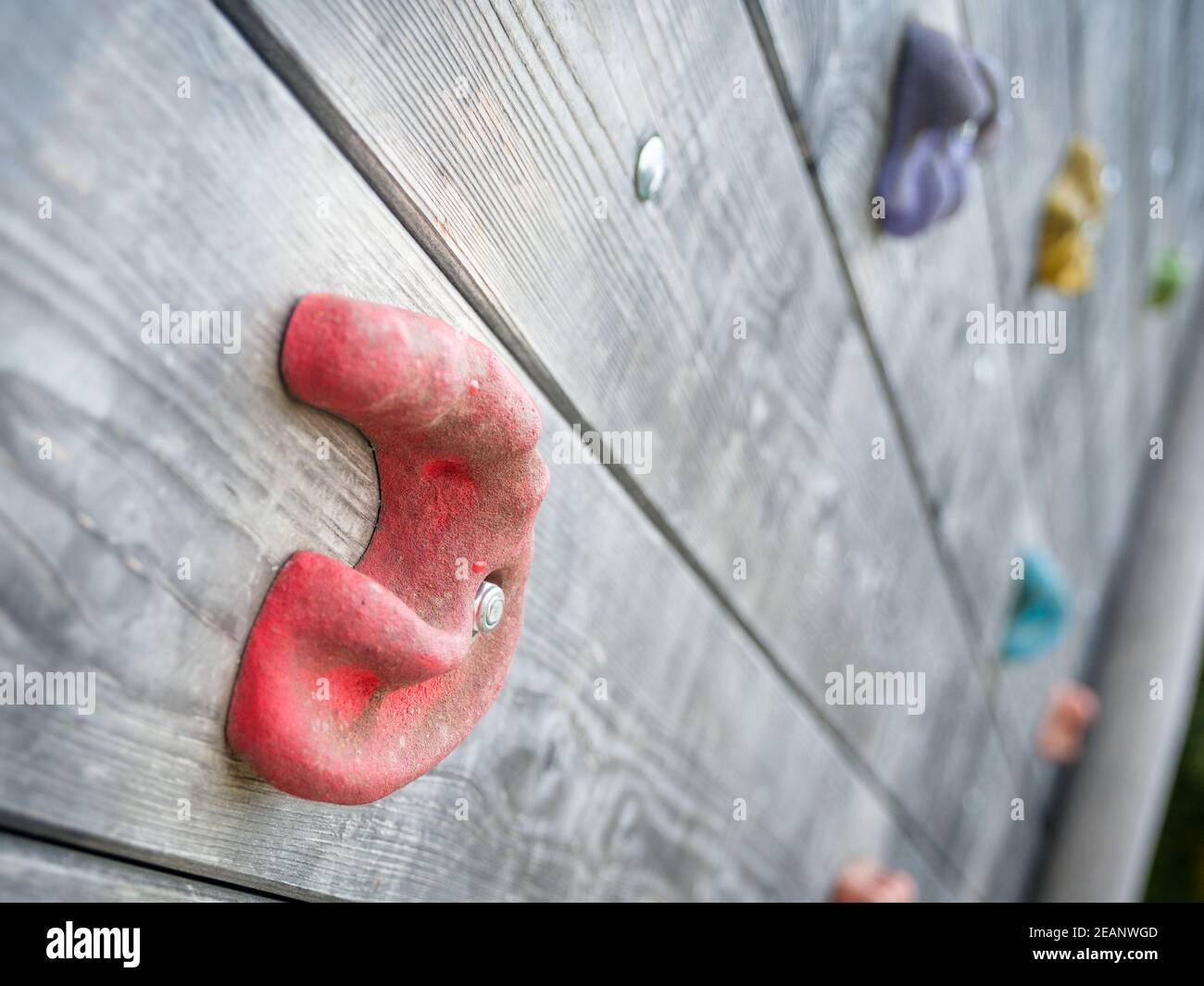 Red climbing grip on a board for exercising Stock Photo
