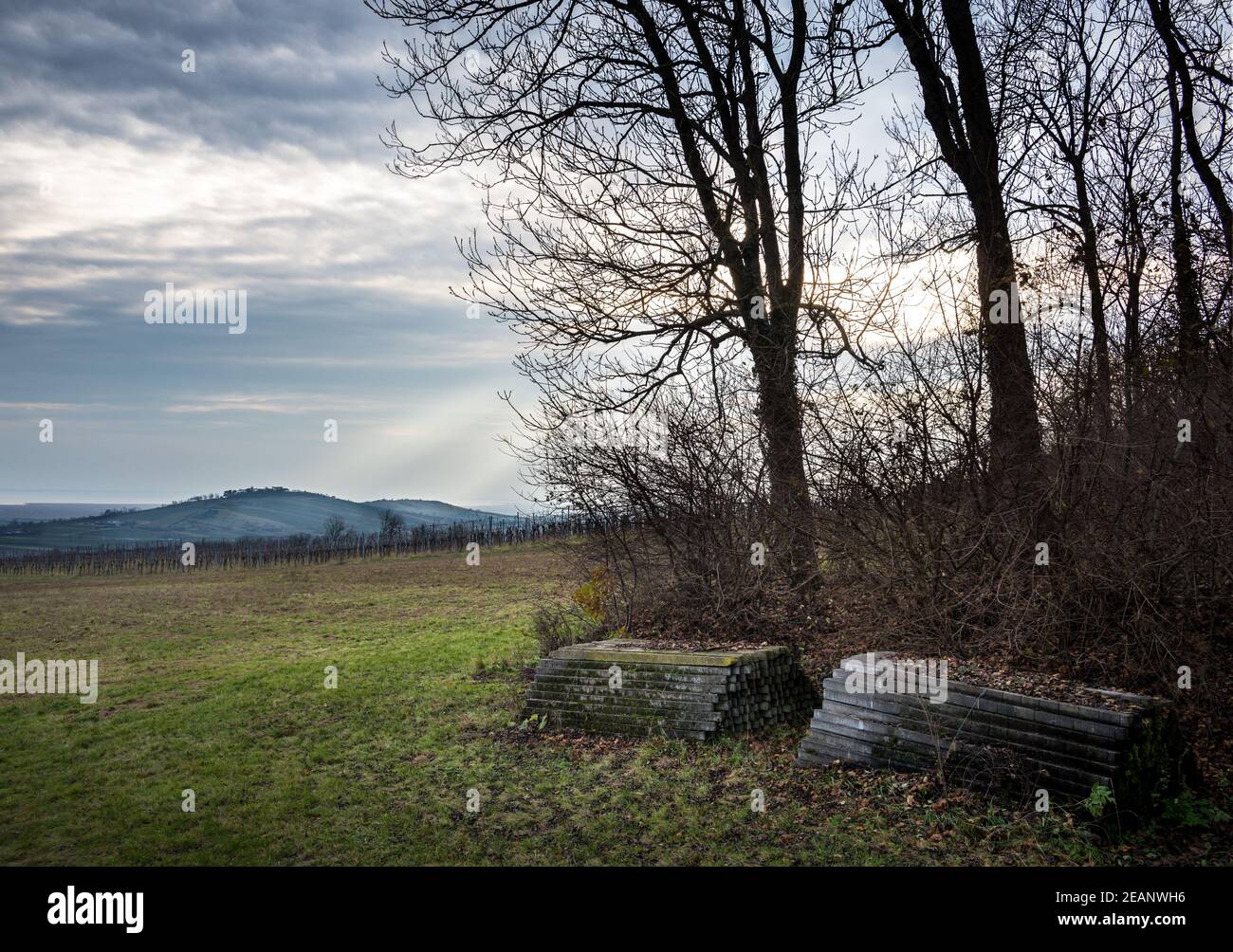 Dark landscape with agricultural fields near jois Burgenland Austria Stock Photo