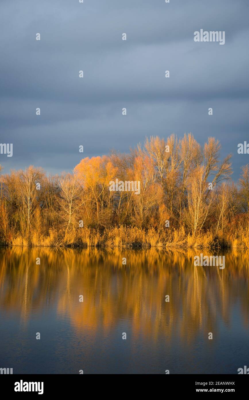 Orange foliage reflected in a quiet lake in Burgenland Stock Photo
