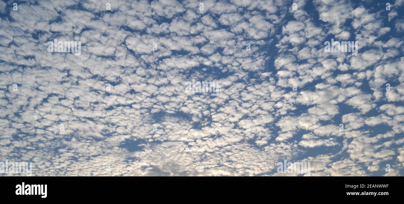 Cloud sky background. Beautiful cotton clouds floating in sunset