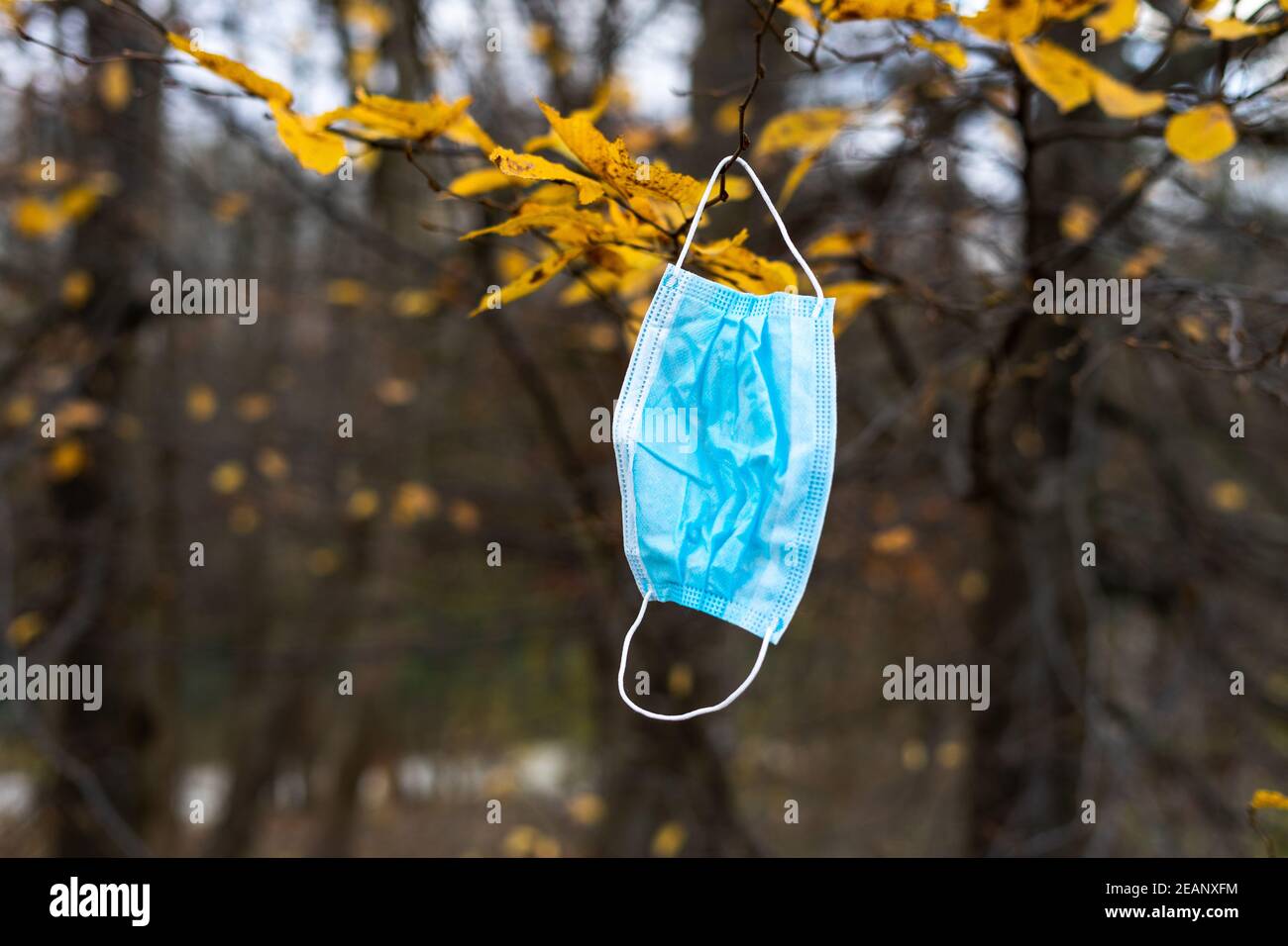 medical face mask deposited on a branch. end of the pandemic. pollution of the environment by disposable masks Stock Photo
