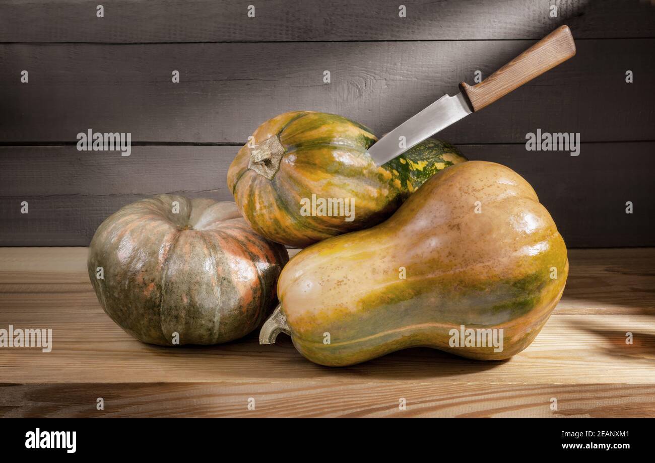 Ripe pumpkins are stored on the shelf Stock Photo