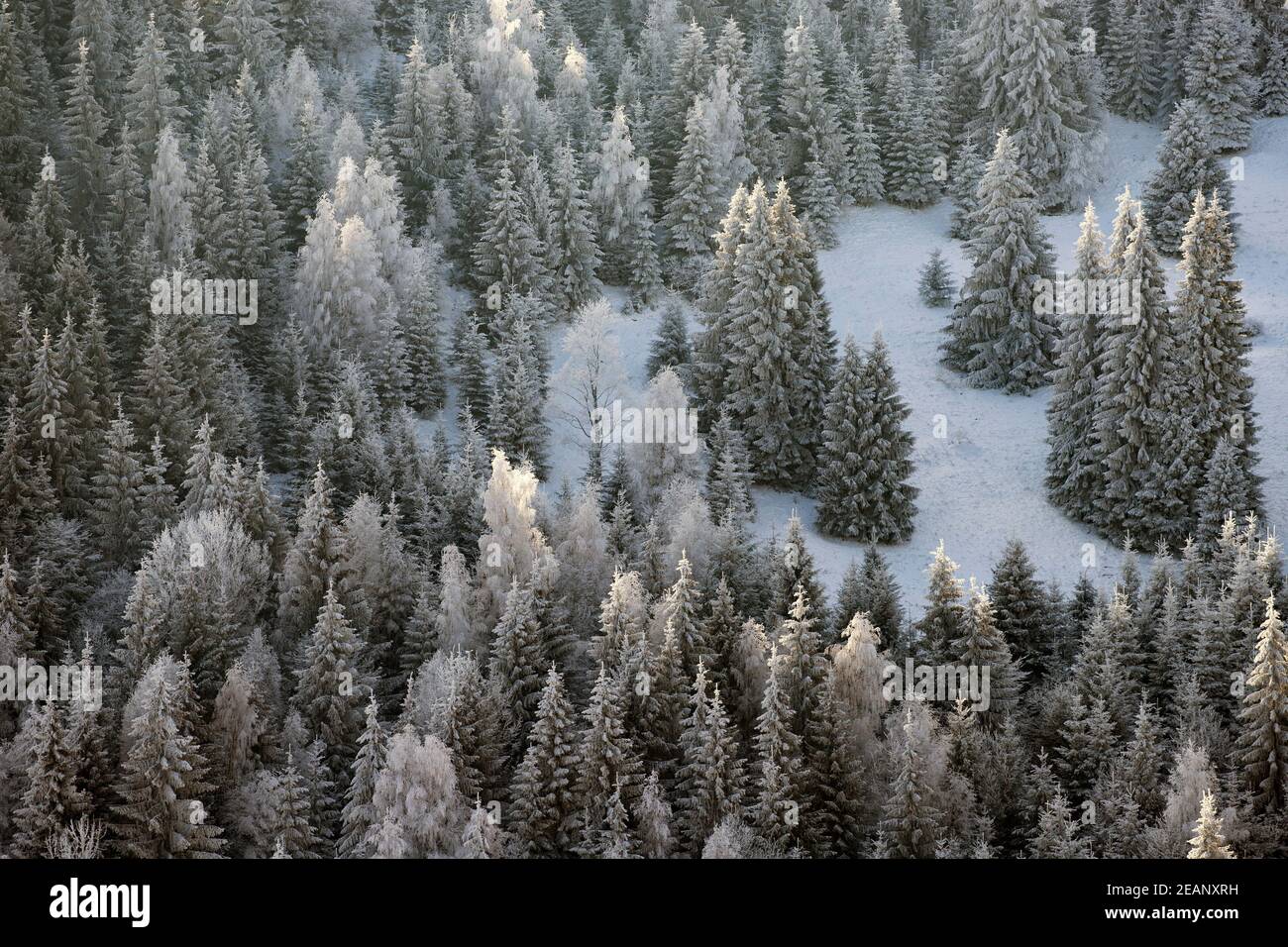 Trees covered with hoarfrost and snow in winter mountains - Christmas background Stock Photo