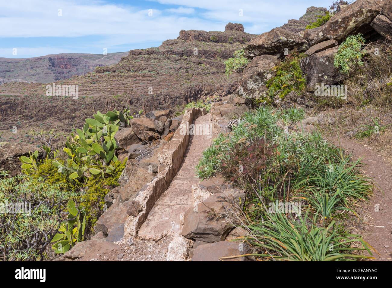 Foto de Paseo del Barranco de Valle Gran Rey en Valle Gran Rey, Santa Cruz de Tenerife