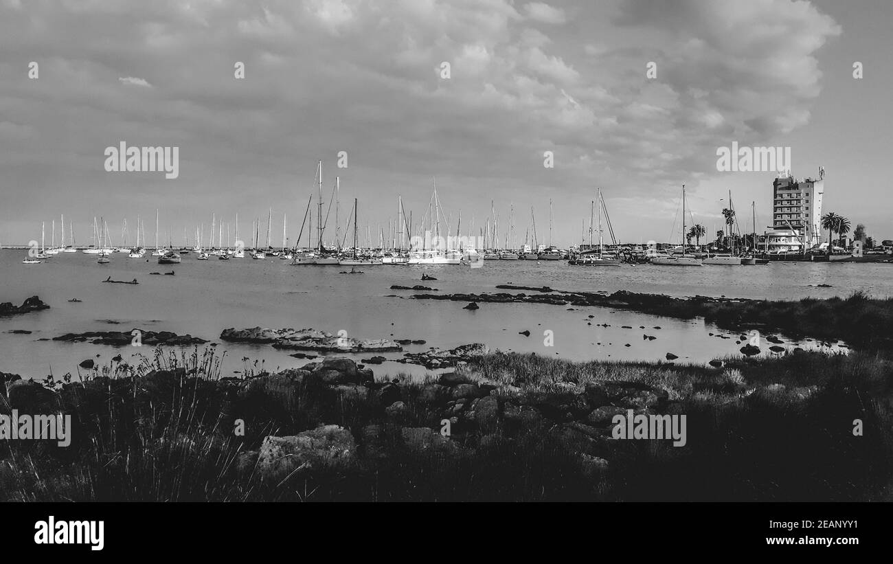 Buceo Port Panoramic Landscape, Montevideo, Uruguay Stock Photo