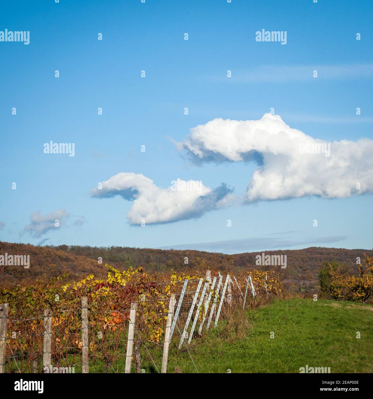 Funny amusing clouds in the sky at burgenland Stock Photo