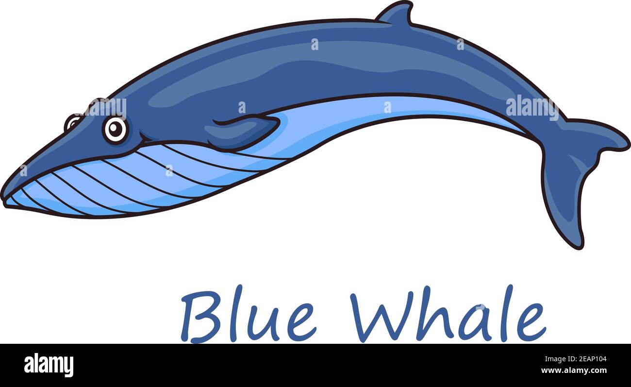 Funny cute cartoon blue whale isolated on white background for nautical,  wildlife and ecology design Stock Vector Image & Art - Alamy