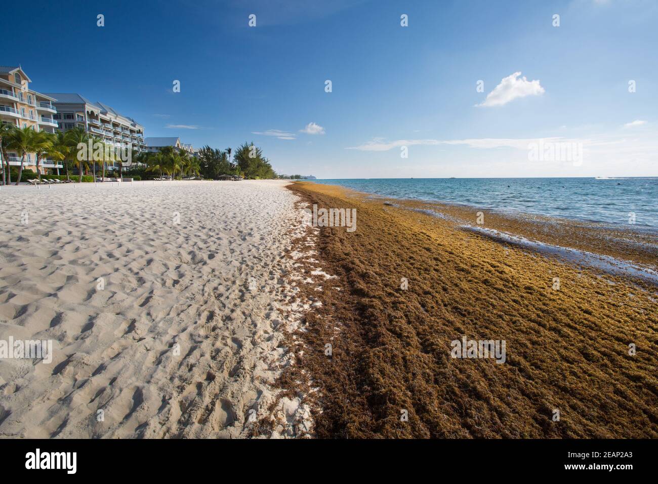Grand cayman islands damage hires stock photography and images Alamy