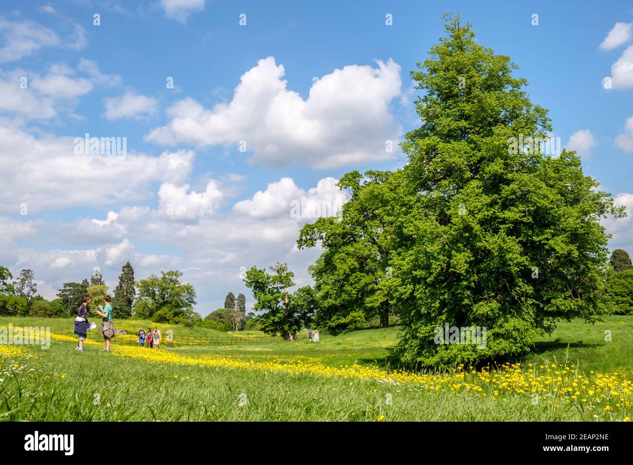 Wallingford castle hires stock photography and images Alamy