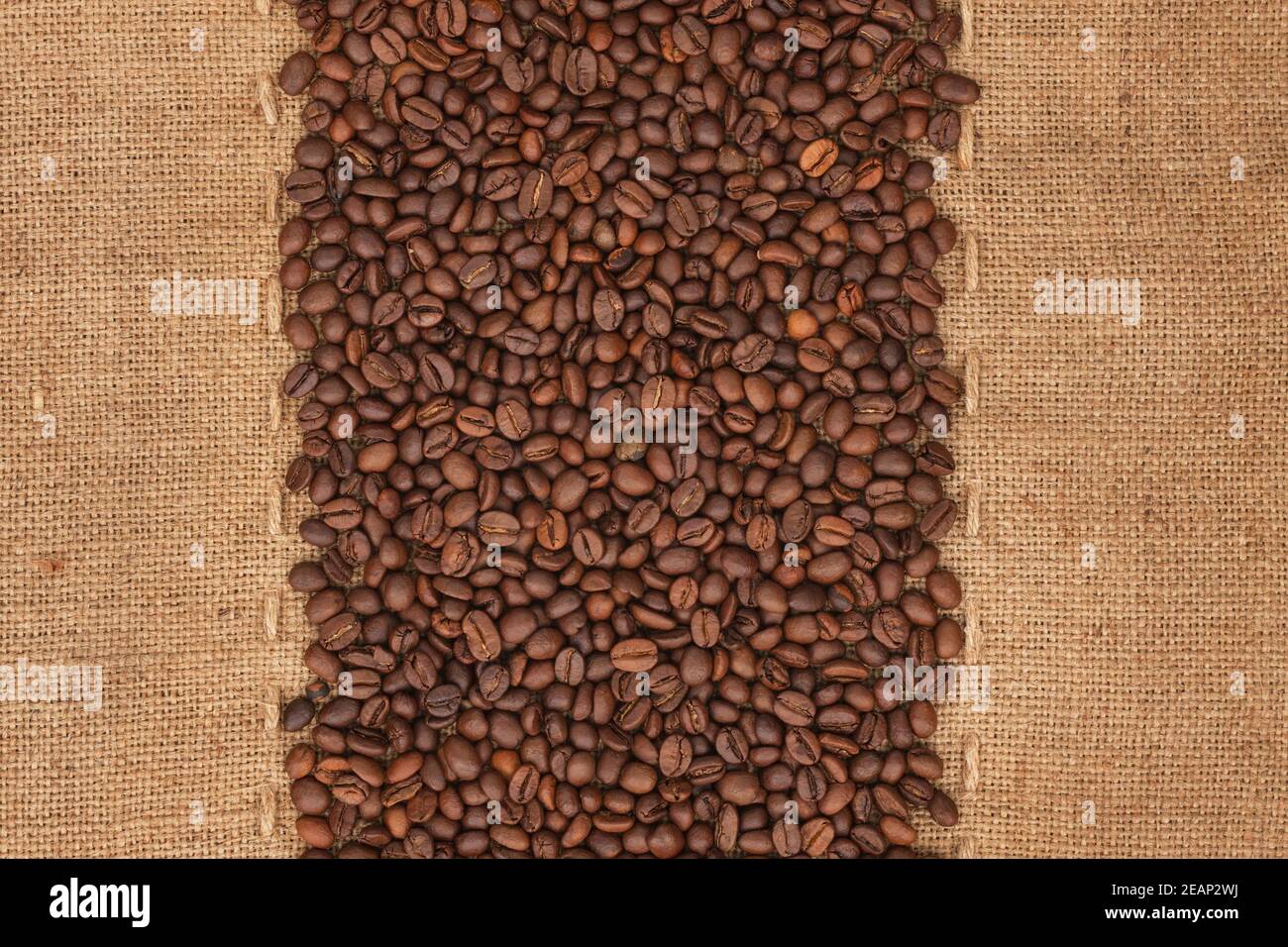 Coffee beans lying on sackcloth Stock Photo