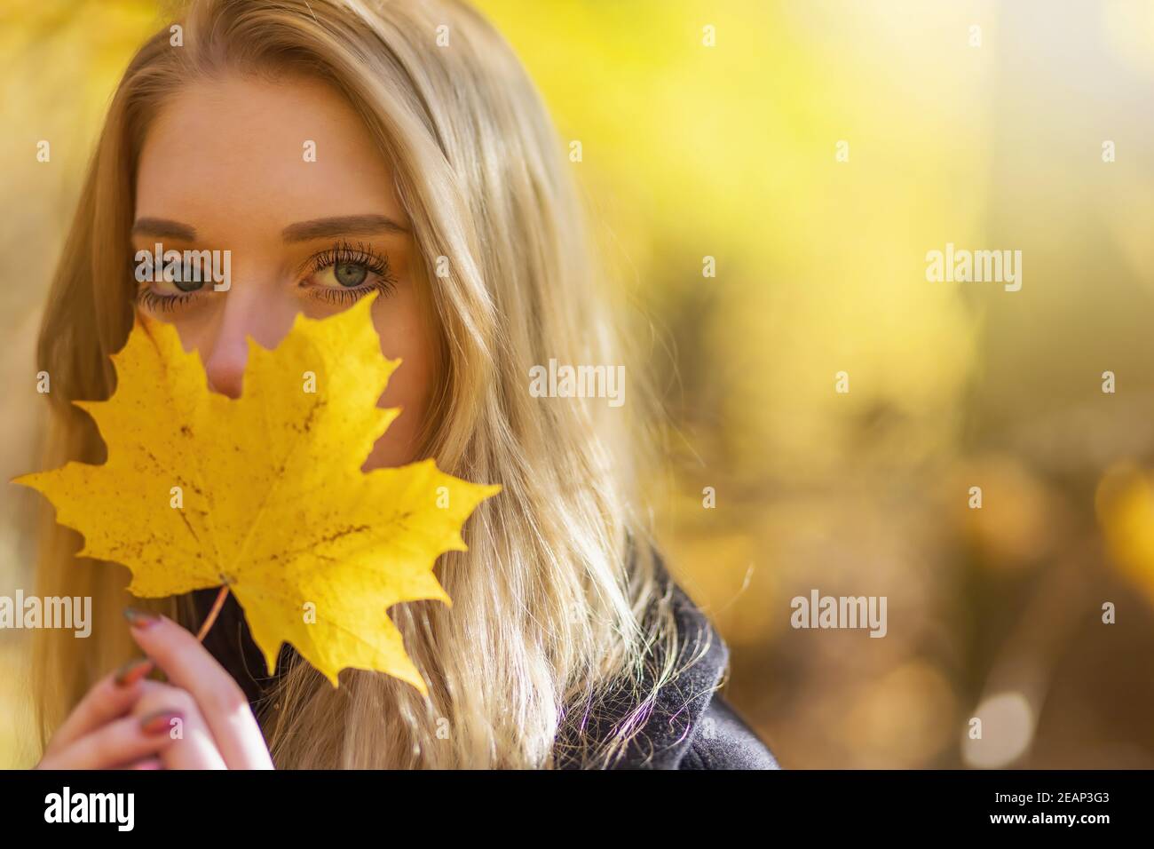Portrait of attractive girl covering her face by maple leaf Stock Photo ...