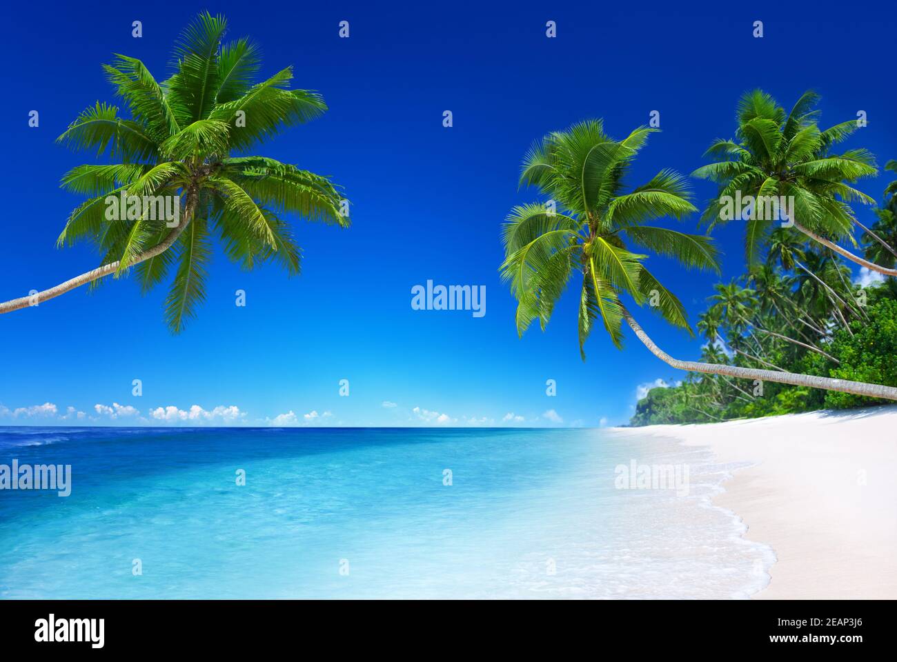 Clear sky paradise hi-res stock photography and images - Alamy