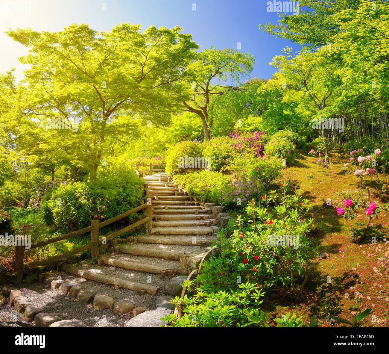 Garden near Tenryu-ji Temple in Kyoto, Japan Stock Photo