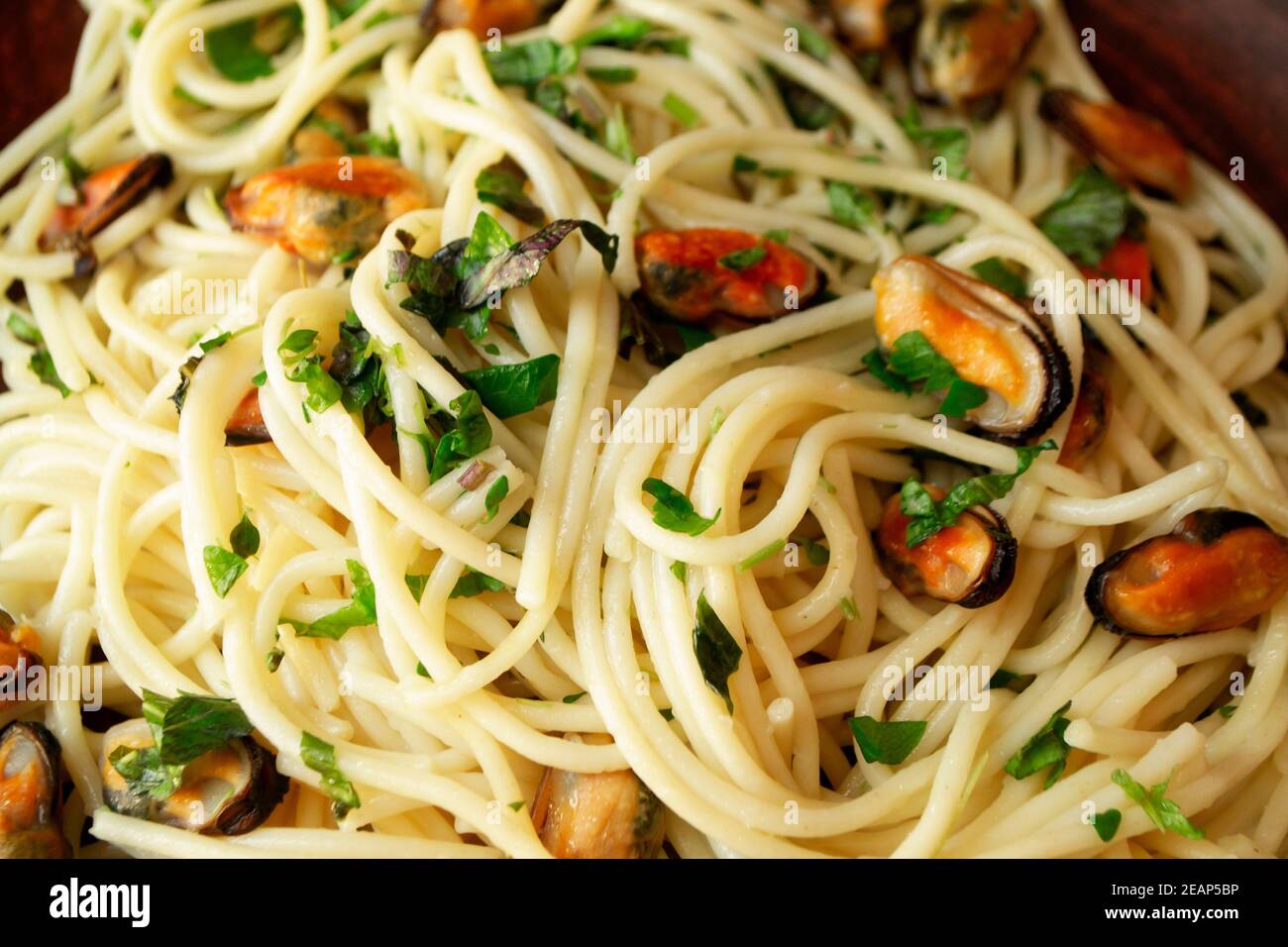 Spaghetti with mussels and clams, Mediterranean food, close up Stock Photo