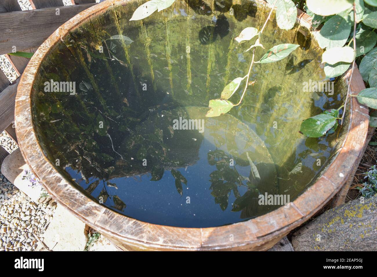 Wooden barrel filled with water Stock Photo Alamy