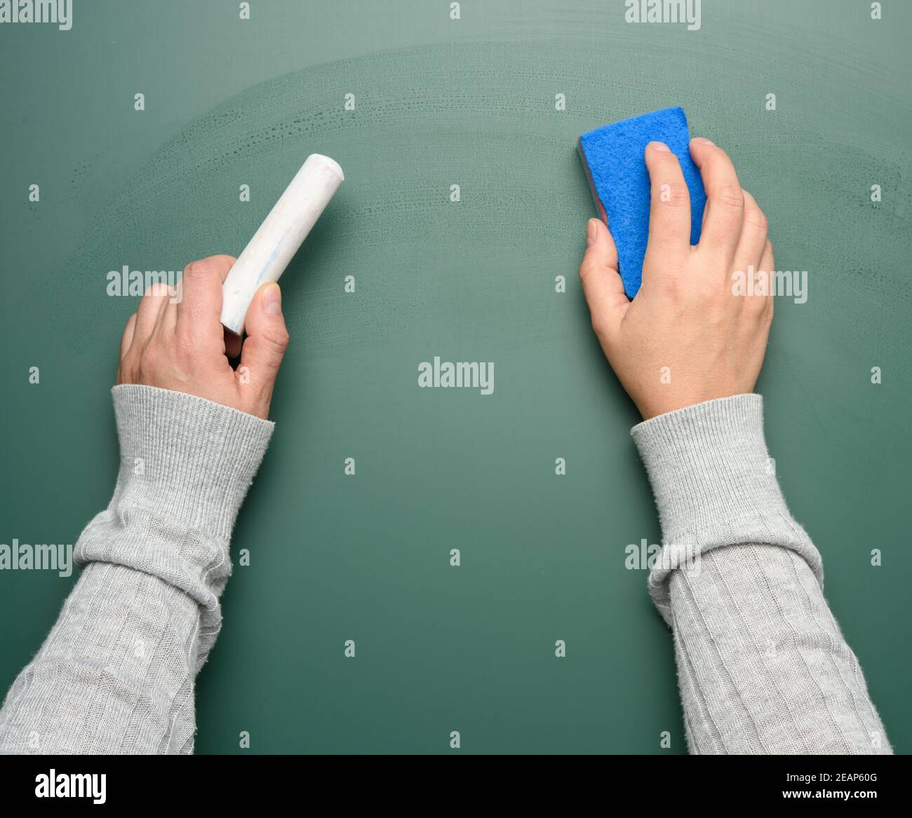 hand holds a piece of white chalk on the background of an empty green chalk board Stock Photo
