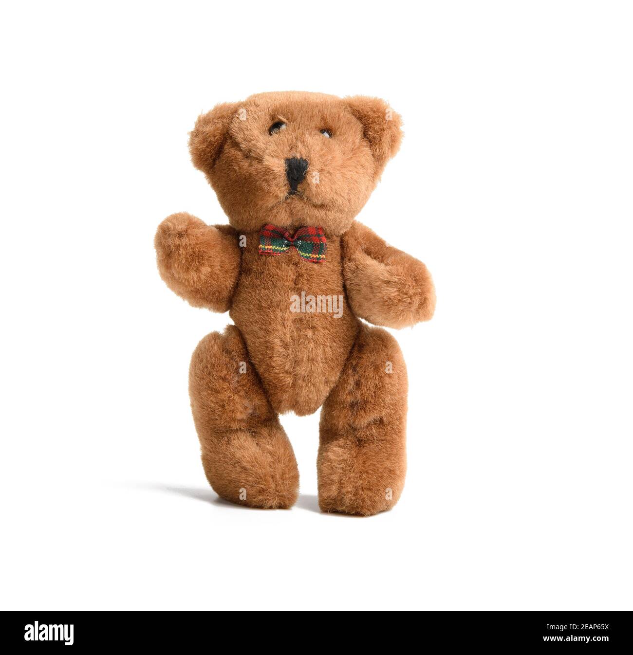 cute little teddy bear stands on white isolated background Stock Photo