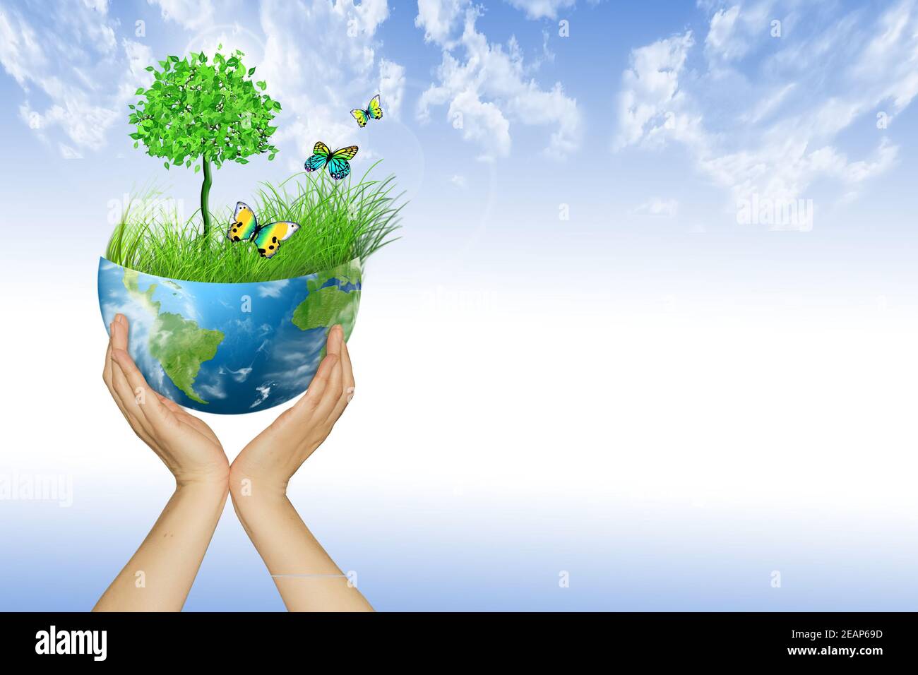 Environmental Concept. Globe in the hands. Tree, grass and butte Stock Photo