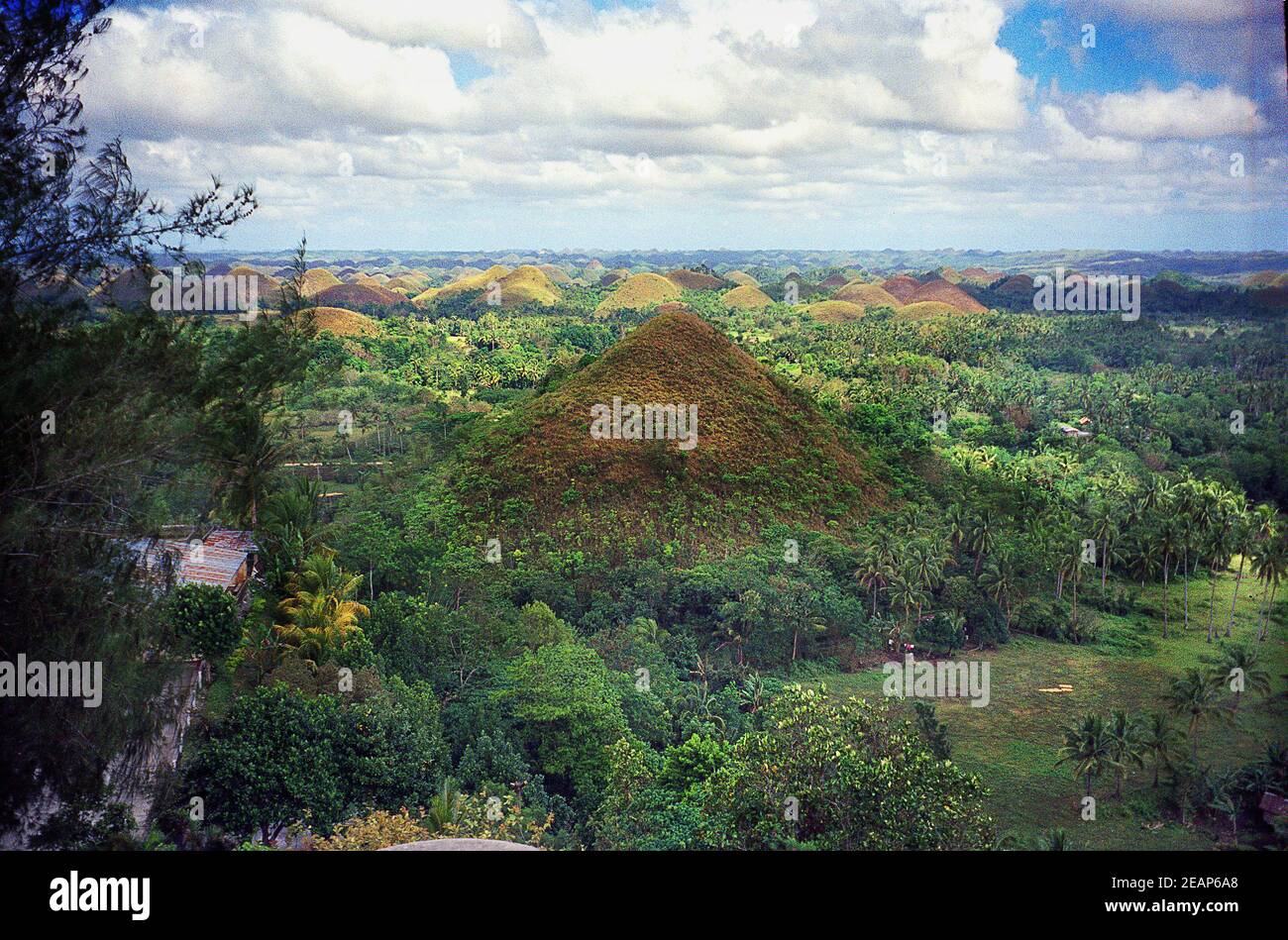 famous Chocolate Hills on Bohol Stock Photo Alamy