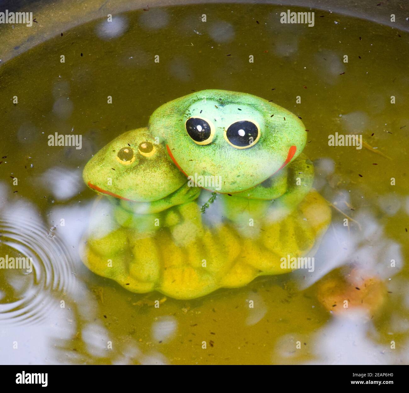 Statue of a toy frog with a frog underwater in a pond Stock Photo Alamy