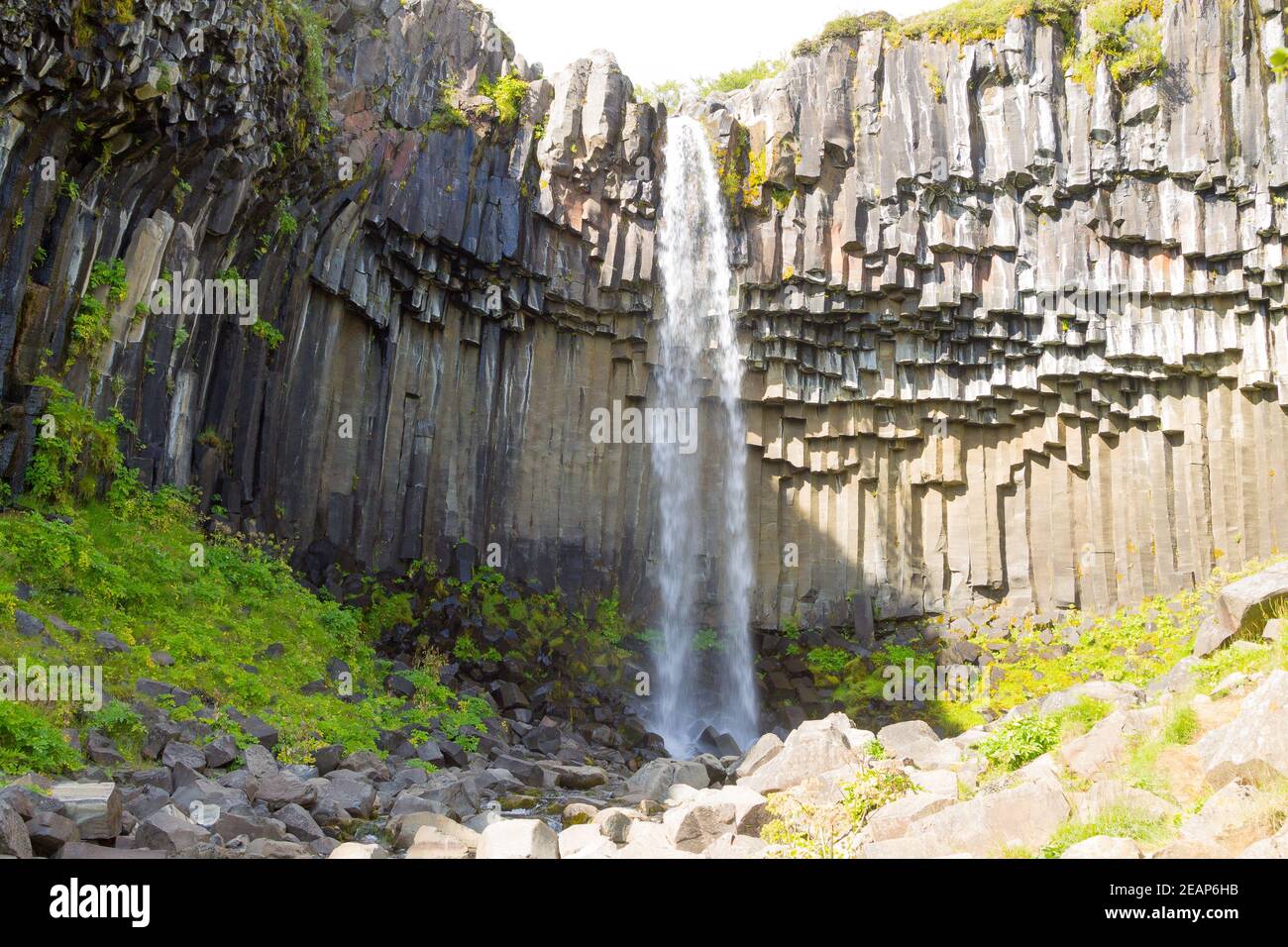 Svartifoss falls in summer season view, Iceland Stock Photo