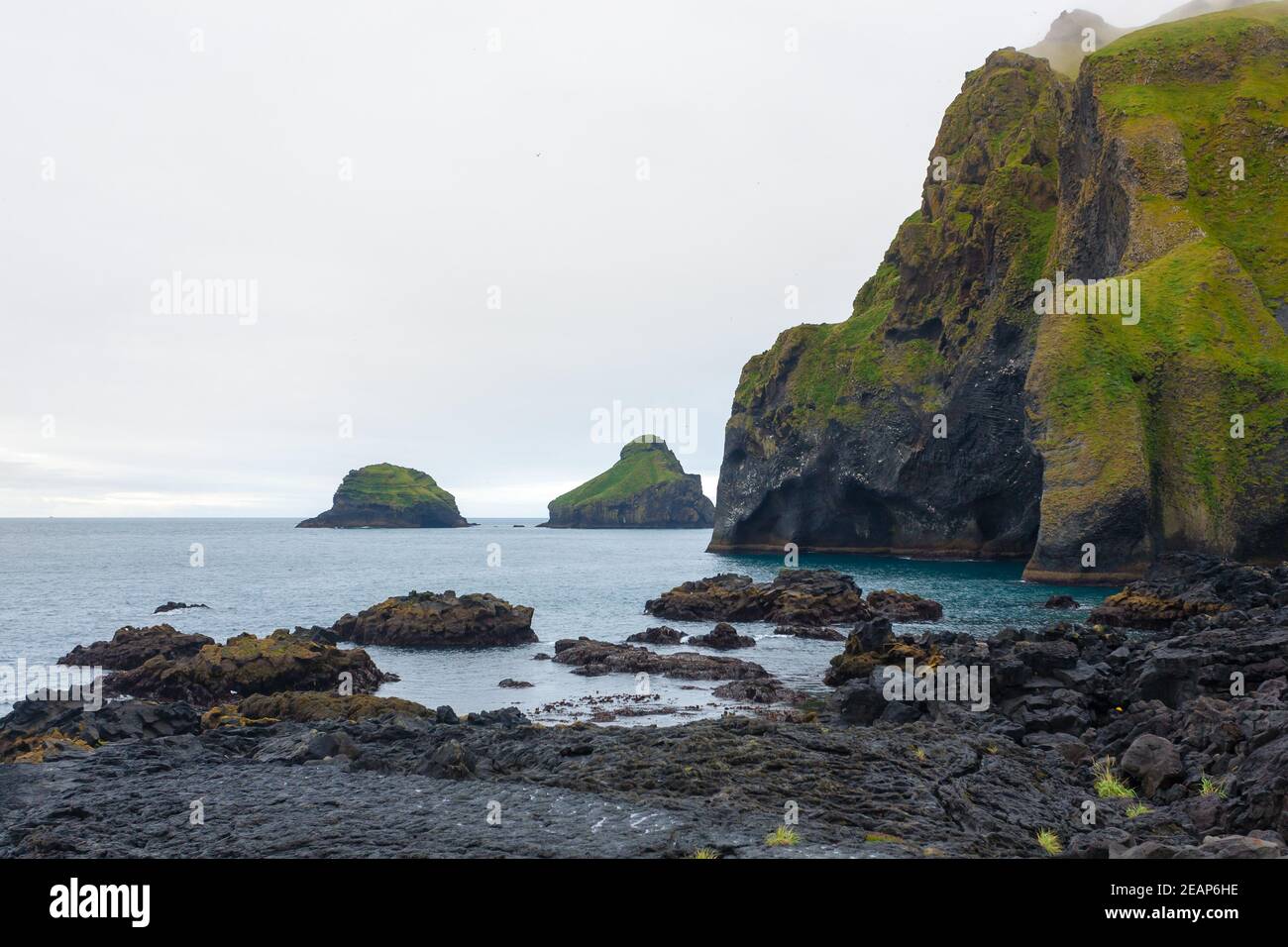 Elephant shape rock, Vestmannaeyjar island beach, Iceland Stock Photo