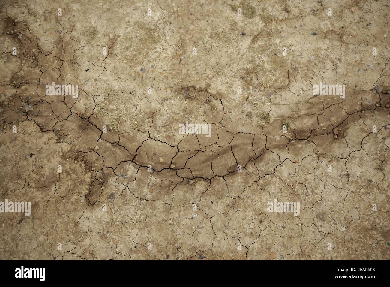 Dry and cracked earth Stock Photo
