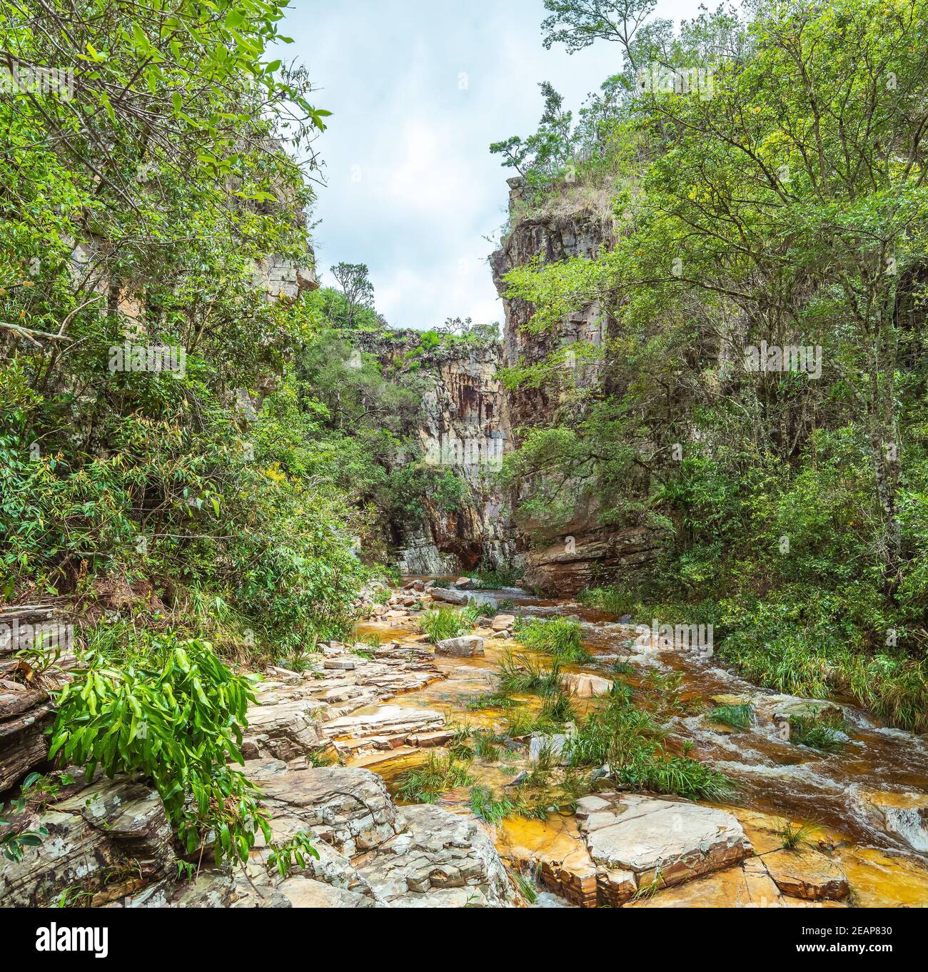 Stream Between Two Rocks Water stream between sedimentary rocks hi-res stock photography and ...