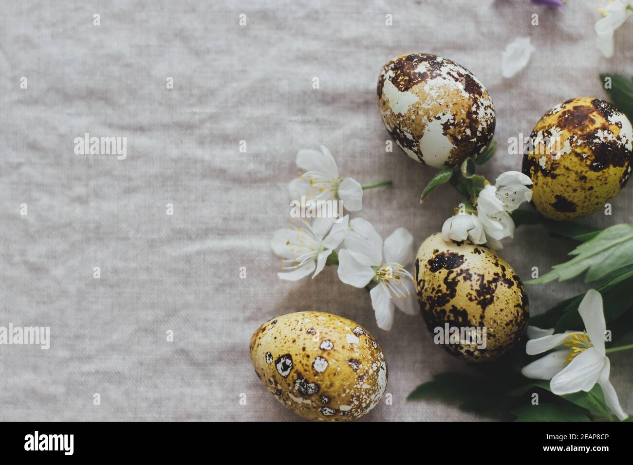 Easter eggs with spring flowers on rustic linen background, flat lay ...
