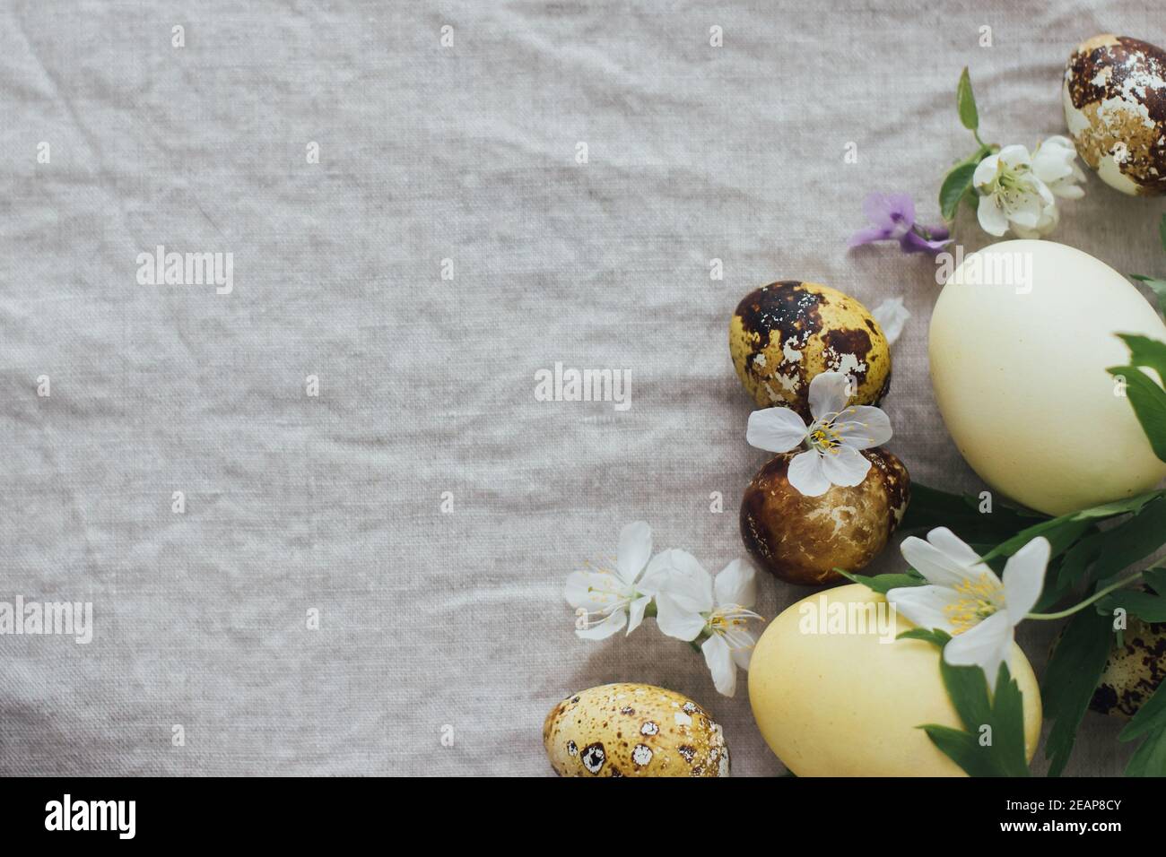 Easter eggs with spring flowers on rustic linen background, flat lay ...
