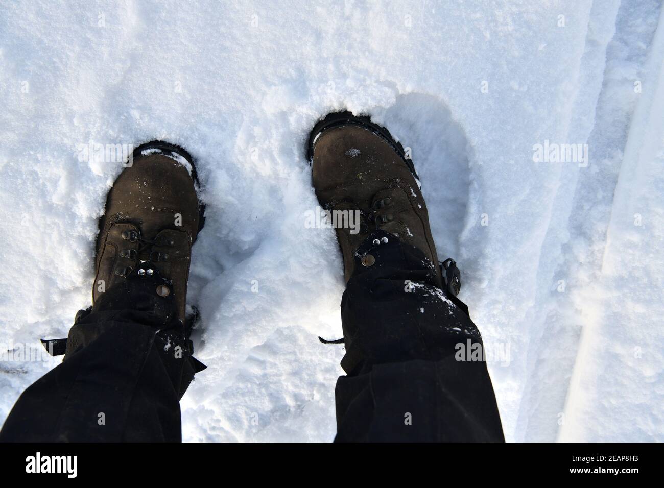 Top View Of A Hiker s Foot In Deep Snow Stock Photo Alamy top-view-of-a-hiker-s-foot-in-deep-snow-stock-photo-alamy