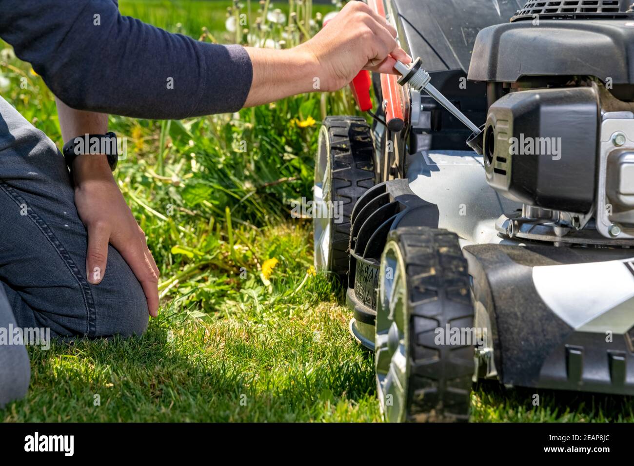 change and check the oil in the motor lawn mower Stock Photo Alamy